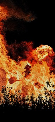 ColorOS 16 Wallpapers By Mohamedovic (26) ColorOS 16 Wallpapers By Mohamedovic (26)