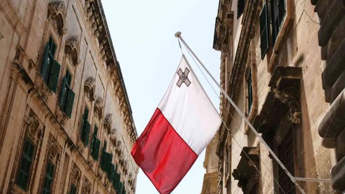 What language they speak in malta