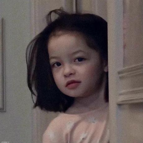 Daisy1259 Daisy Github