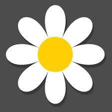 Daisy Dataset Github