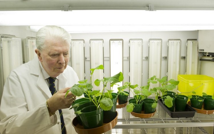 Making fertiliser out of thin air