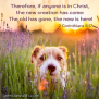 Reborn - Brenda Walsh Scripture Images