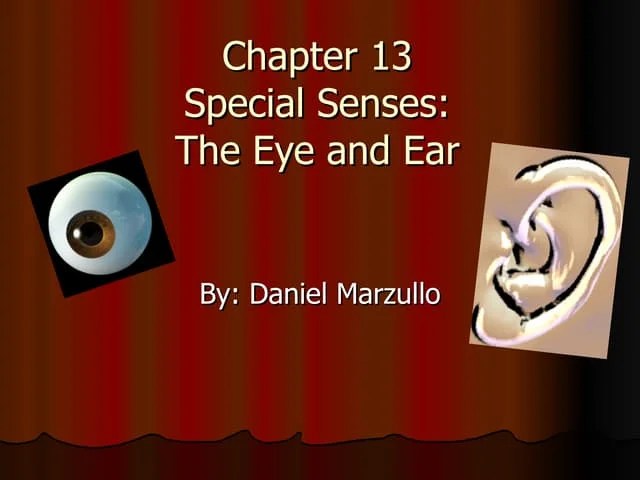 Chapter 13 | PPT