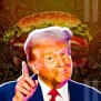 Anthony Pompliano Reveals Donald Trump Owns Bitcoin