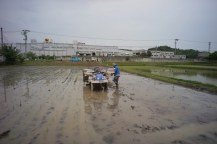 DSC07517