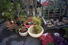 DSC05321