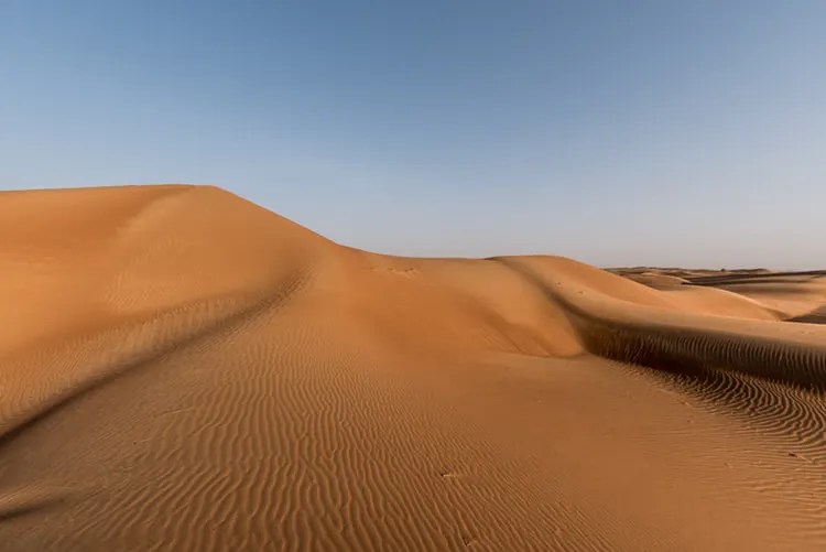 Sharjah Desert Park