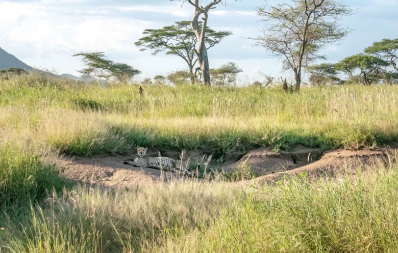Serengeti National Park