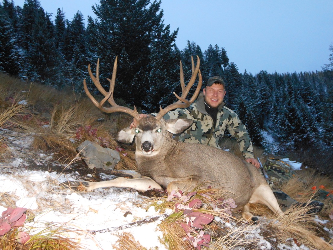 Montana Hunting Outfitter Our Best Mule Deer Hunts Montana Hunting