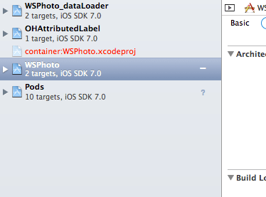 Installed Cocoapods into existing project - Error in project explorer