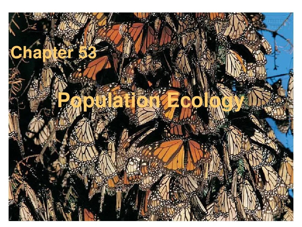 Population Ecology CDMS | PDF | Logistic Function | Ecology