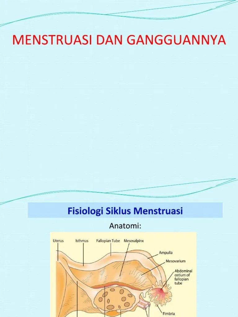 Siklus Menstruasi