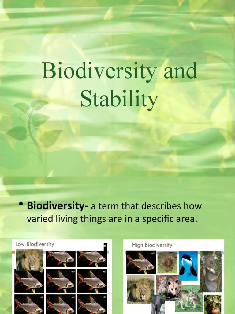 Population Ecology | PDF