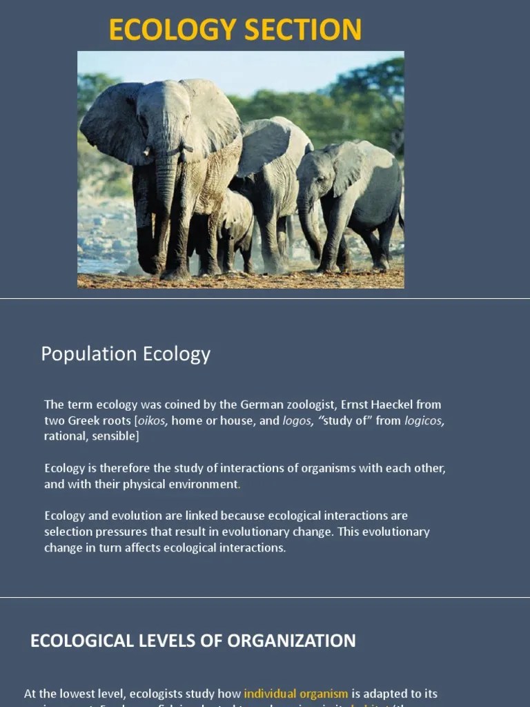 Population Ecology | PDF | Ecology | Reproduction