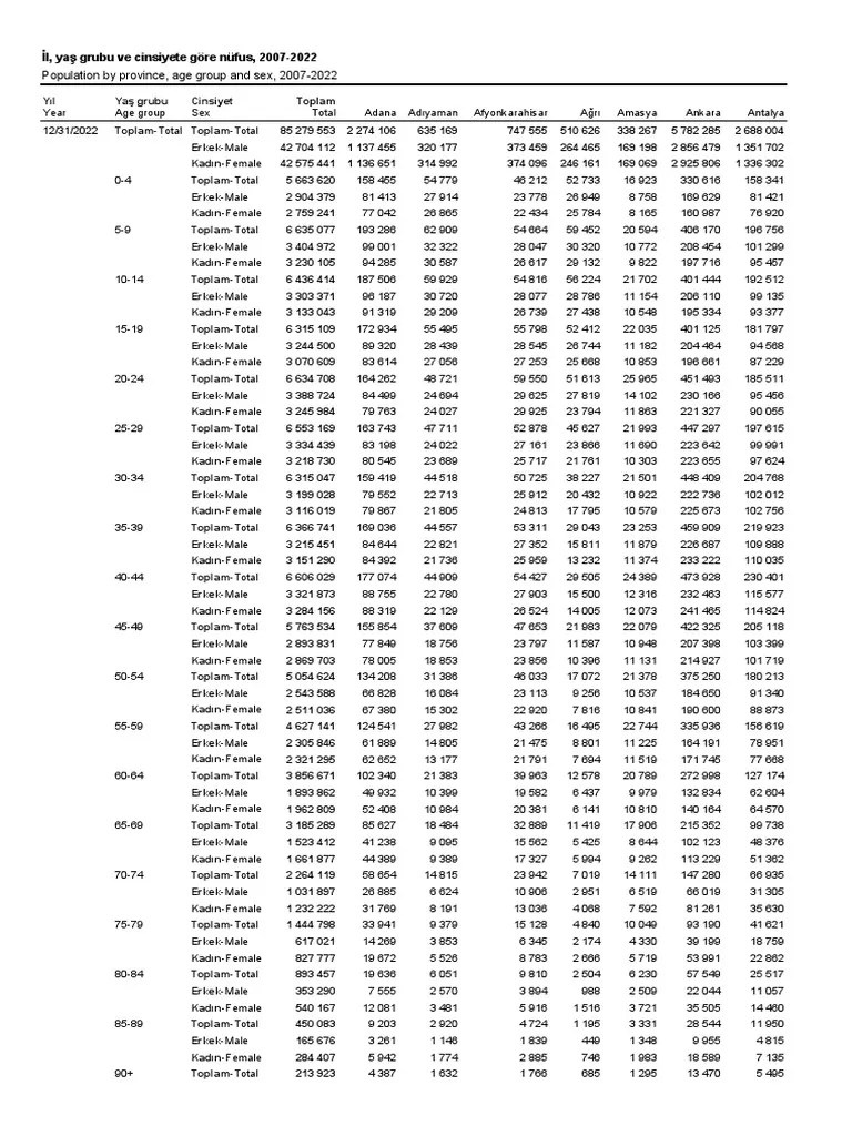 Il Yas Grubu Ve Cinsiyete Gore Nufus | PDF