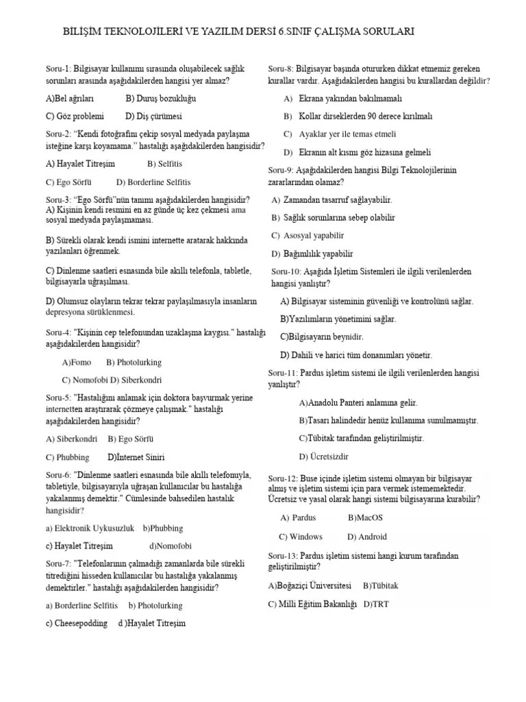 Bilisim Ders Calisma Sorulari | PDF