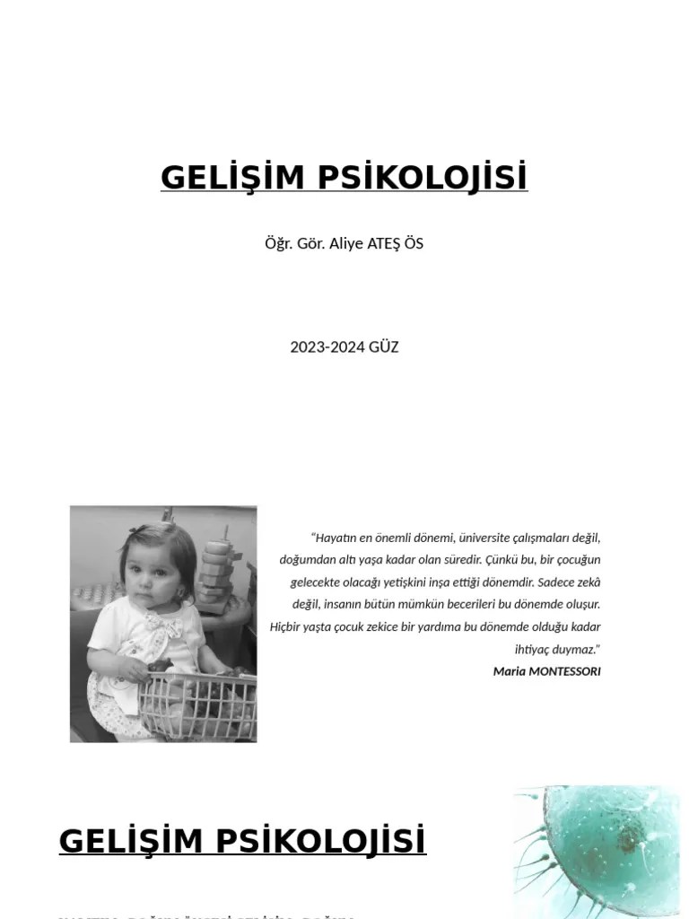 Dogum Oncesi Gelisim | PDF
