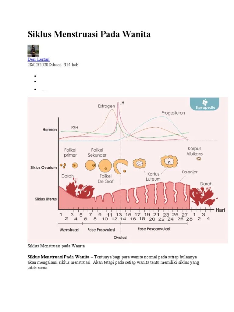 Siklus Menstruasi Pada Wanita | PDF