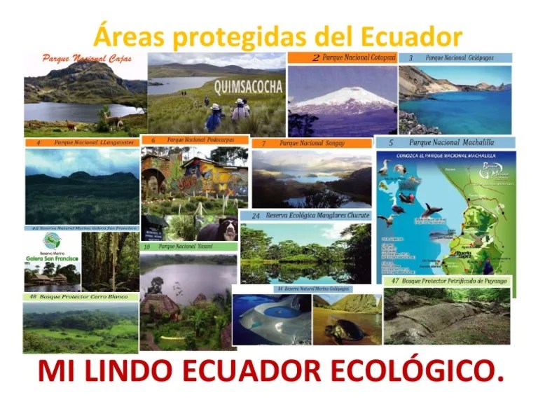 Áreas Protegidas Del Ecuador | PDF