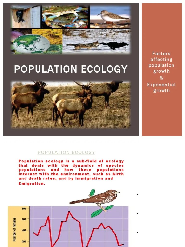 Population Ecology | PDF | Environmental Science | Natural Environment