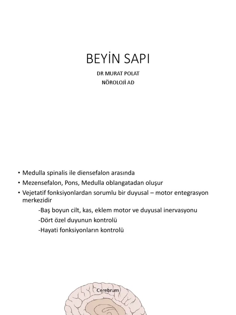Hafta Ders Notu | PDF