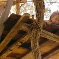treeplatform