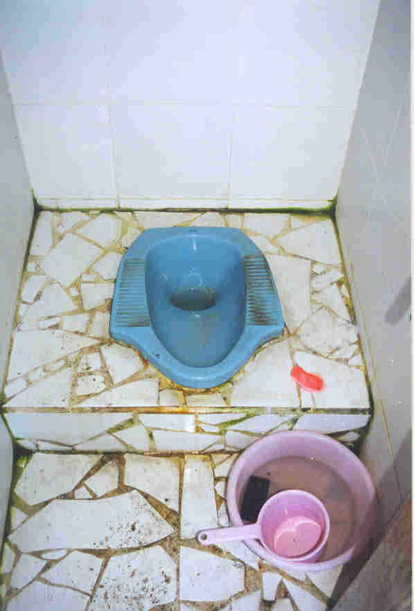 Why Squat Toilets Suck Mishvo in Motion