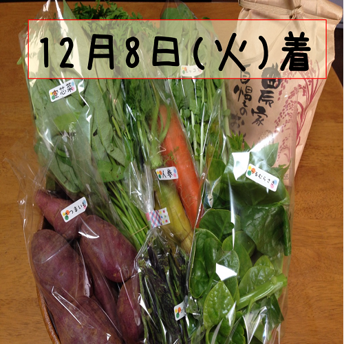 12月8日着