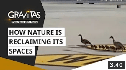 Gravitas - Making Sense of the News