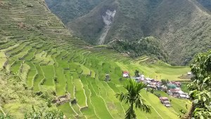 20160512_121255_Richtone(HDR)
