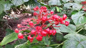 20160615_141647