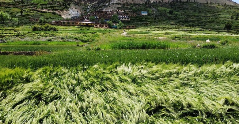 Everything you need to know about Baltistan