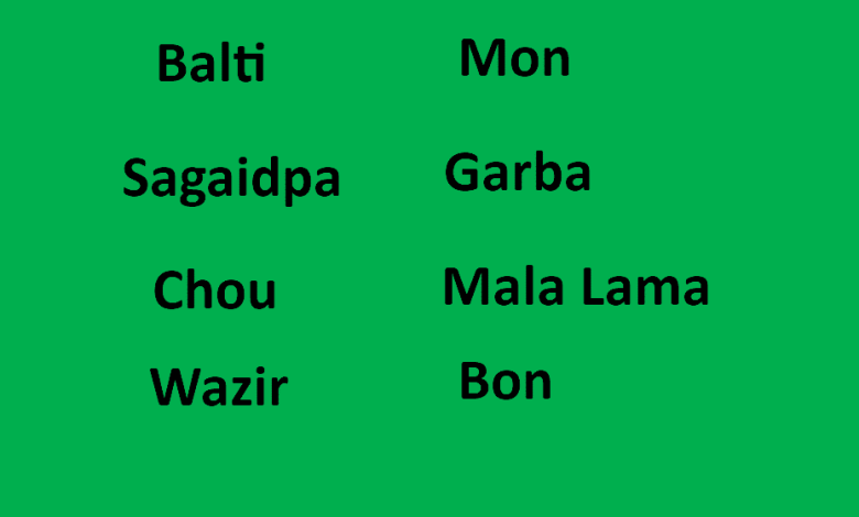 Balti people: The cultural aspect and class system