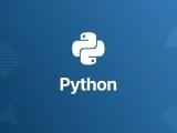 Python Full Stack Development Snqtech