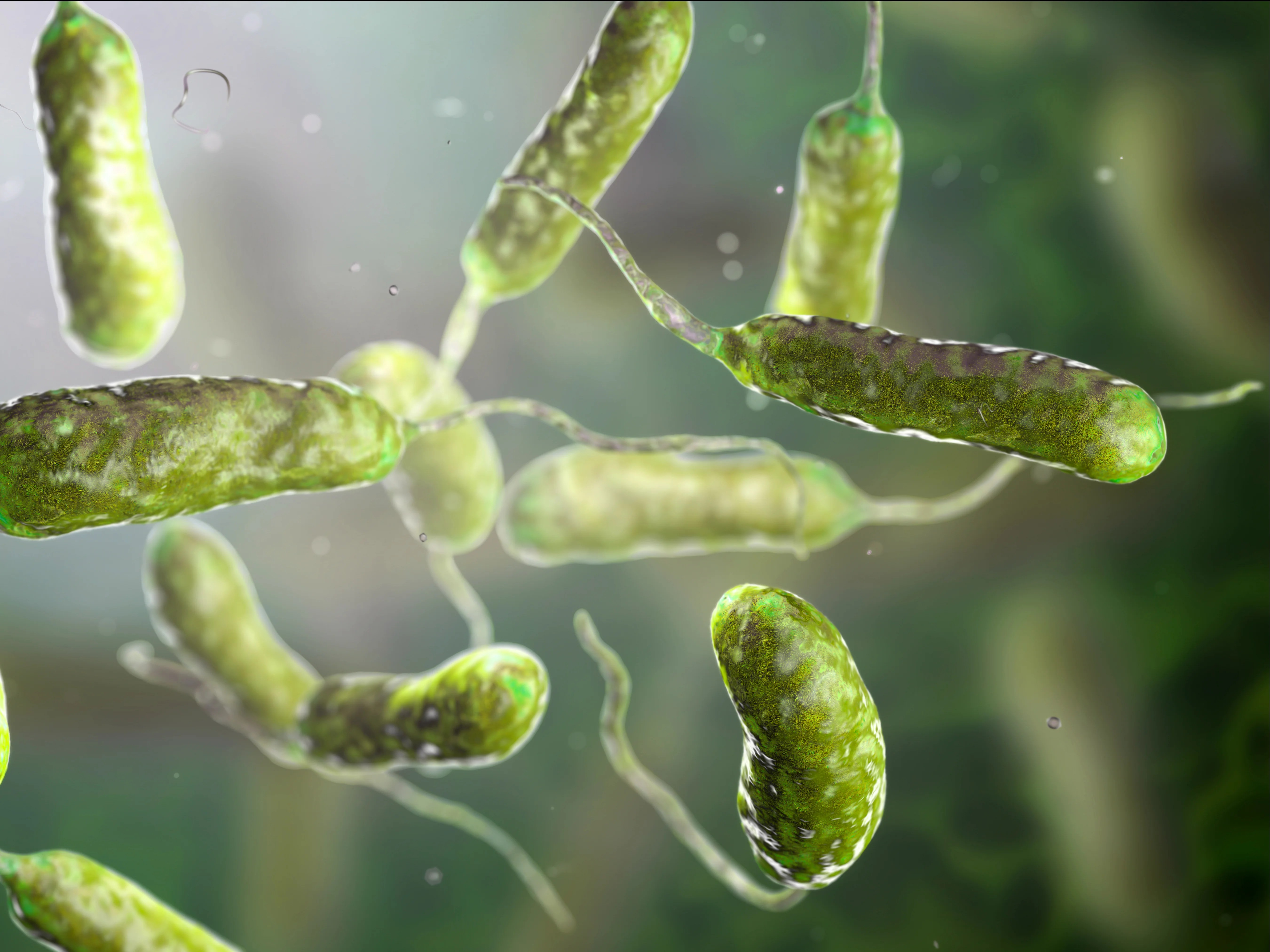 ‘Something is off this year’: Experts are stumped at the sudden spike in flesh-eating bacteria deaths ‘Something is off this year’: Experts are stumped at the sudden spike in flesh-eating bacteria deaths