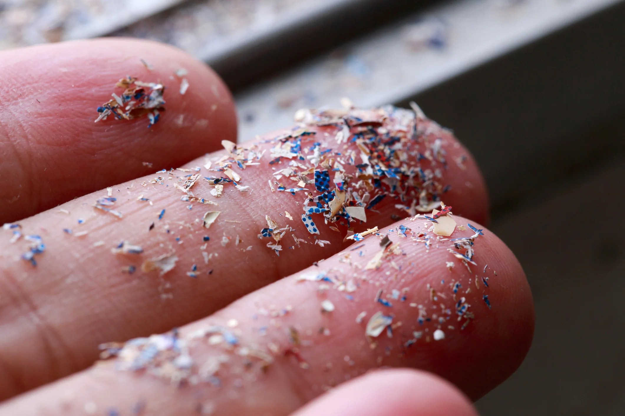 Experts warn microplastics could be in your salad Experts warn microplastics could be in your salad