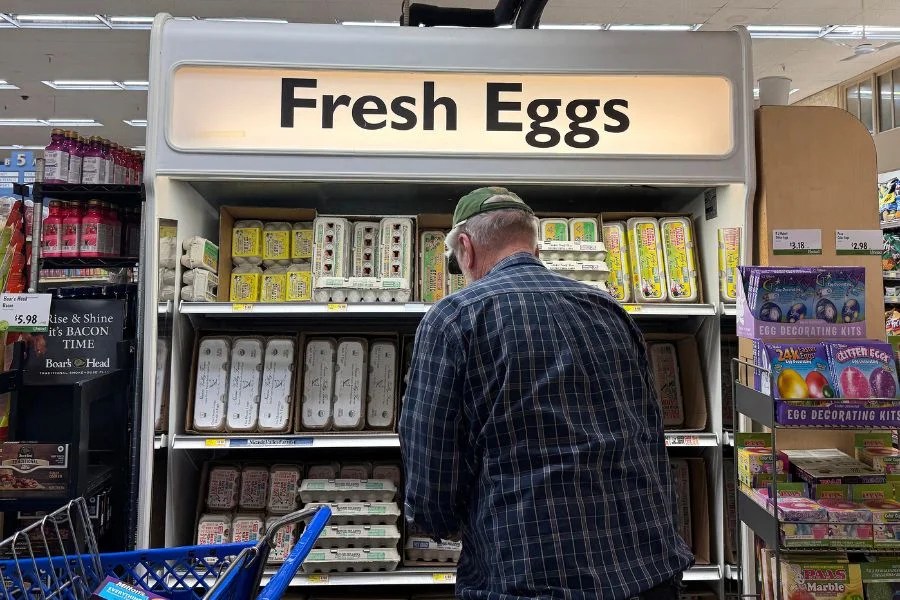 One of the nation’s largest egg producers has lost 95% of its chickens to bird flu. It could spell price hikes One of the nation’s largest egg producers has lost 95% of its chickens to bird flu. It could spell price hikes