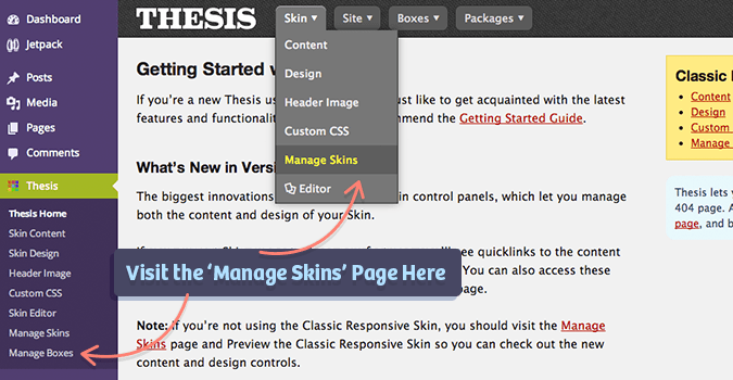 Manage Skins WordPress Section