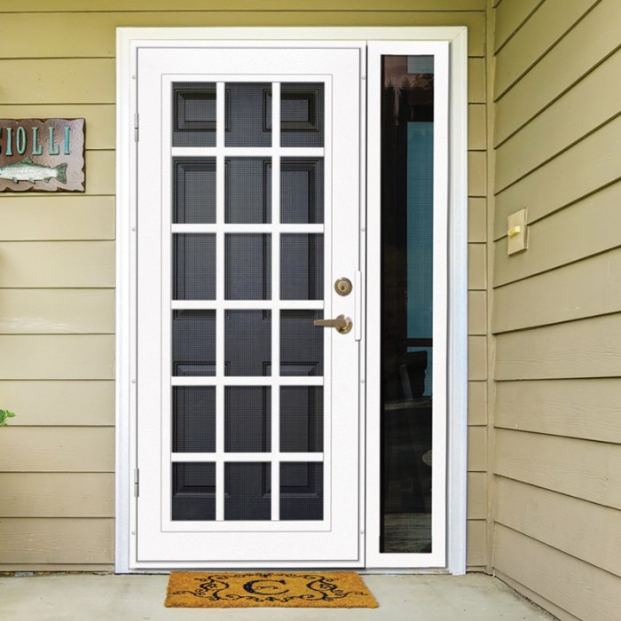 Double door security screen