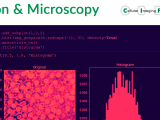Resources For The Life Scientist Yannick Krempp