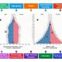 Population Pyramids - Labelled Diagram