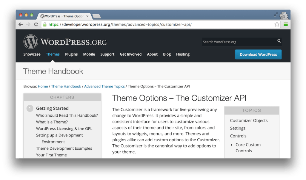 customizer-api-documentation