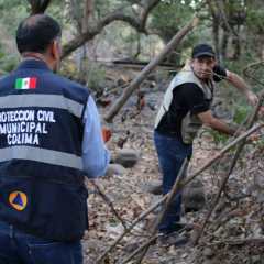 ayuntamiento de colima trabaja