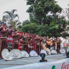 ayuntamiento de colima trabaja