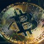 Bitwise CIO Believes Bitcoin ETFs Will Pull $50 Billion In Inflows This ...
