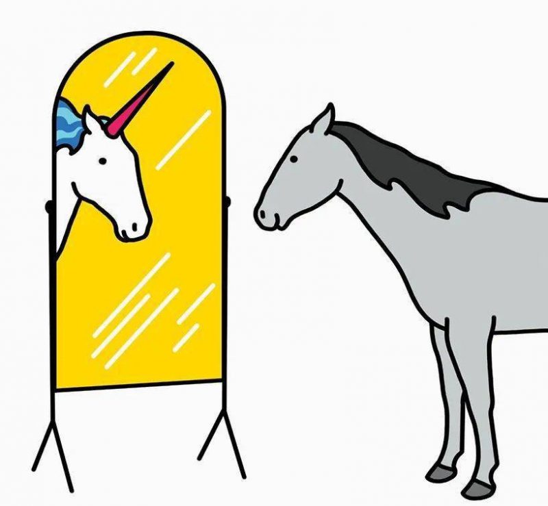 严肃社会问题轻松说_加拿大插画家_Sam Island 严肃社会问题轻松说_加拿大插画家_Sam Island