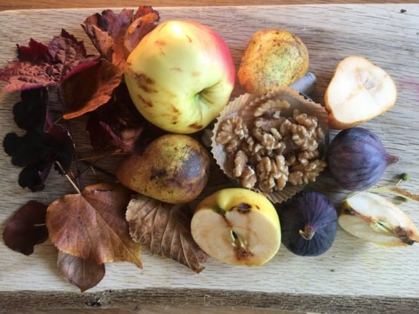 Welcome to autumn!