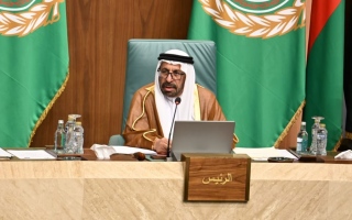The UAE calls for a mobilization of international support to stop the Israeli aggression on Gaza and strengthen the peace path The UAE calls for a mobilization of international support to stop the Israeli aggression on Gaza and strengthen the peace path
