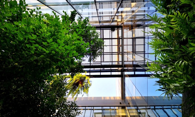 green tree near glass window