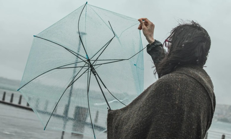 woman in black jacket holding umbrella